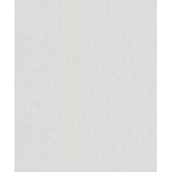 PATENT 9759 Code CA / 117 g - 1,06 x 25,00 m